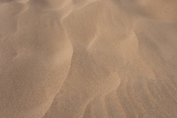 istock Sand dunes, waves of sand. Creative vintage background. 1218554410