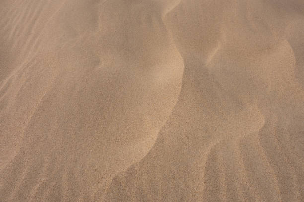 istock Sand dunes, waves of sand. Creative vintage background. 1218554414