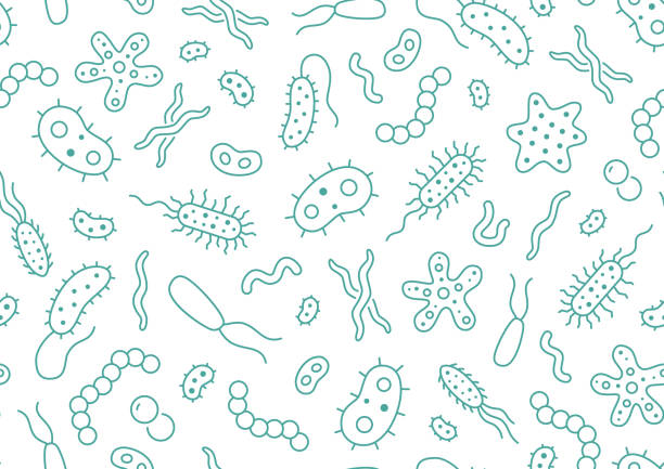 Bacteria, virus, microbe seamless pattern. Vector background included line icons as microorganism, germ, mold, cell, probiotic outline pictogram for microbiology infographic Bacteria, virus, microbe seamless pattern. Vector background included line icons as microorganism, germ, mold, cell, probiotic outline pictogram for microbiology infographic. laboratory bacterium petri dish cell stock illustrations