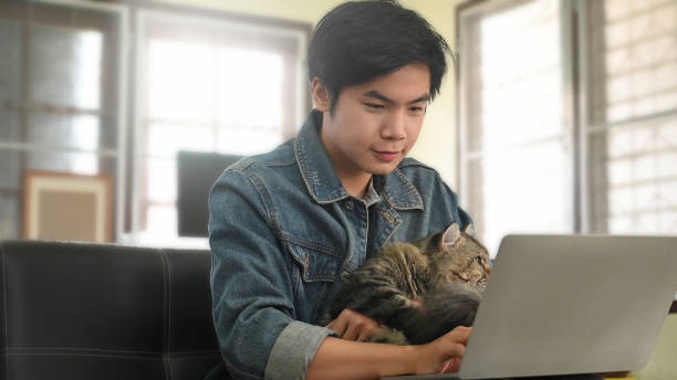 istock Man carrying an adorable maine coon cat while using a computer laptop and sitting at the leather couch over comfortable living room as background. 1218554526