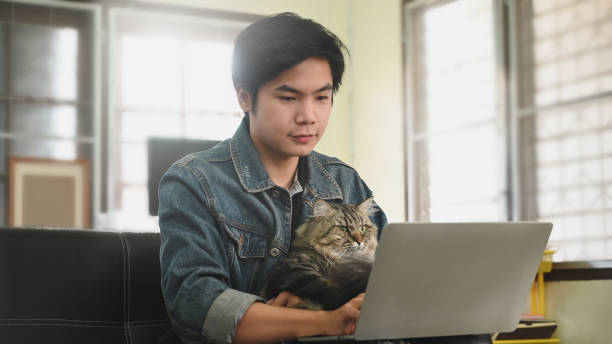 istock Man carrying an adorable maine coon cat while using a computer laptop and sitting at the leather couch over comfortable living room as background. 1218554687