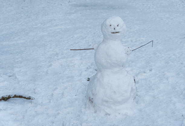 istock Snowman on a Snowy Field 1218555379