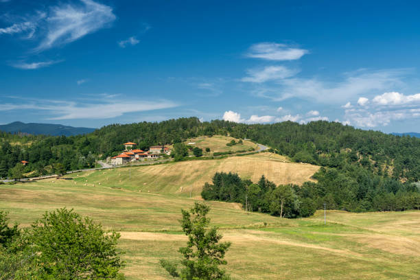 Summer landscape at Passo della Consuma, Tuscany Mountain landscape along the road of Passo della Consuma, Arezzo, Tuscany, Italy, at summer 3381 stock pictures, royalty-free photos & images