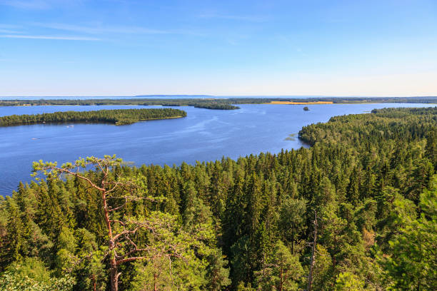 istock View at a Lake with coniferous forest 1218556653