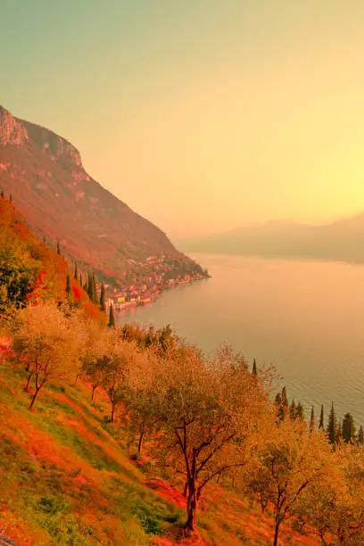 Photo of Autumn  Como lake beautifull  sunset landscape, Lombardia, Italy.