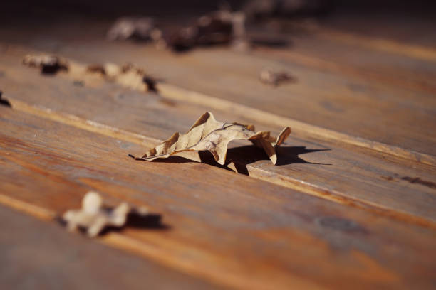 istock Dry oak leaves on an old wooden table 1218558949