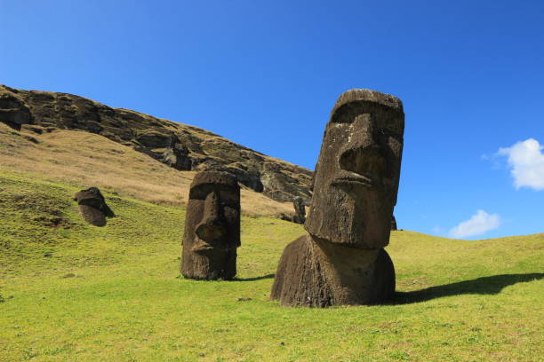 moais statues in ranu raraku park. easter island - polynesia moai statue island chile imagens e fotografias de stock