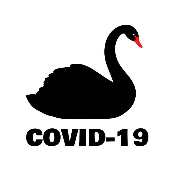 schwarzer schwan symbol eines notfalls. coronavirus verursachen globale krise. weltepidemie - black swan stock-grafiken, -clipart, -cartoons und -symbole