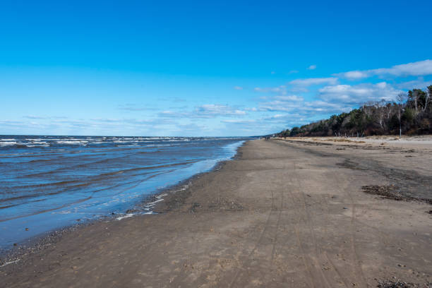 istock Baltic Sea Beach in Spring During Coronavirus Lock Down 1218560612