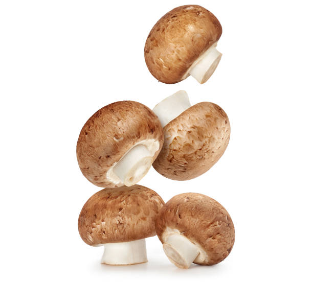 istock Fresh champignon mushrooms isolated on white 1218562476