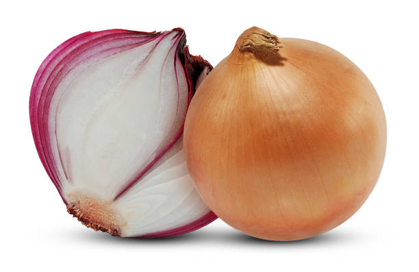 Red onion vegetable isolated on white background Red onion vegetable isolated on white background healthy eating red above studio shot stock pictures, royalty-free photos & images