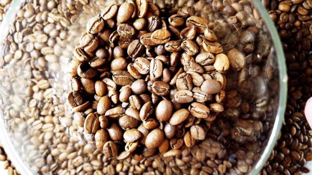 istock Beautiful roasted coffee beans for monday coffee 1218562548