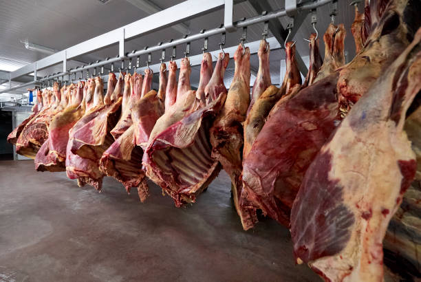 almacén de matadero - butcher butchers shop slaughterhouse hook fotografías e imágenes de stock