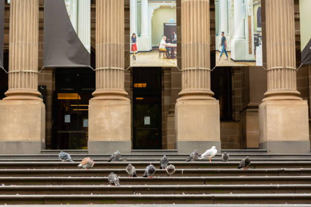 COVID-19 Crisis in Melbourne, Melbourne, Australia Melbourne, Australia, 12 April, 2020. One of the most popular meeting places in the CBD, The State Library is closed, and its steps empty. Only Pigeons remain during the  COVID-19 Crisis. south yarra stock pictures, royalty-free photos & images