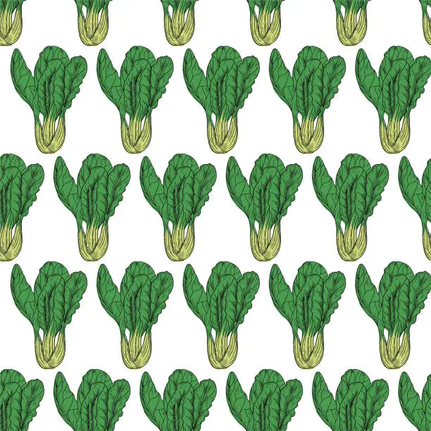 Vector illustration of Hand Drawn Bok Choy Seamless Pattern