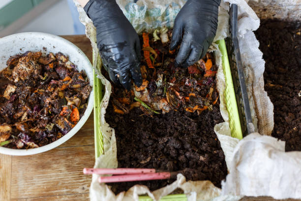 vermicomposting avanzi di cibo a casa. zero sprechi - humus soil foto e immagini stock