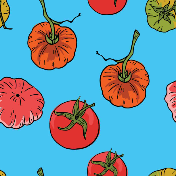 ilustrações, clipart, desenhos animados e ícones de tomates desenhados à mão padrão sem emenda - heirloom tomato illustrations