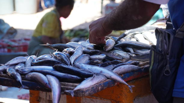istock fish market in Timor West 1218567186