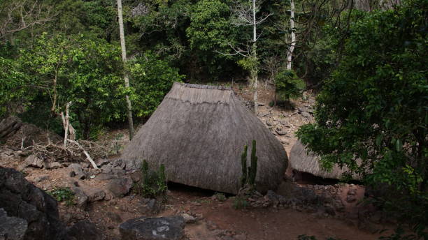 istock hut in a jungle village. Timor West 1218567421