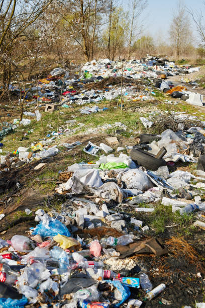 istock Close-up of garbage in the spring forest. 1218569847