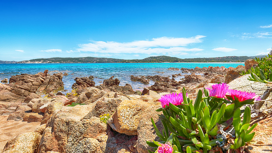 Fantástica agua azul con rocas y un montón de flores en la playa de Doctors photo