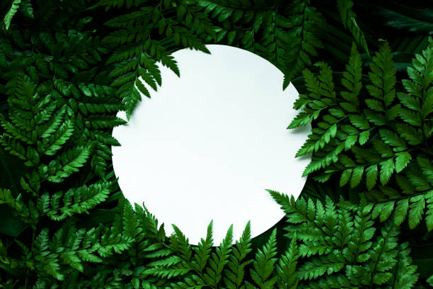 istock tropical green leaves and palms  background with white paper card note 1218571618