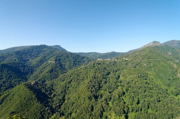 istock Castagniccia mountain in the Alesani valley 1218571826