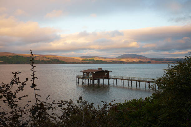 istock House on Bolinas Lagoon 1218572161