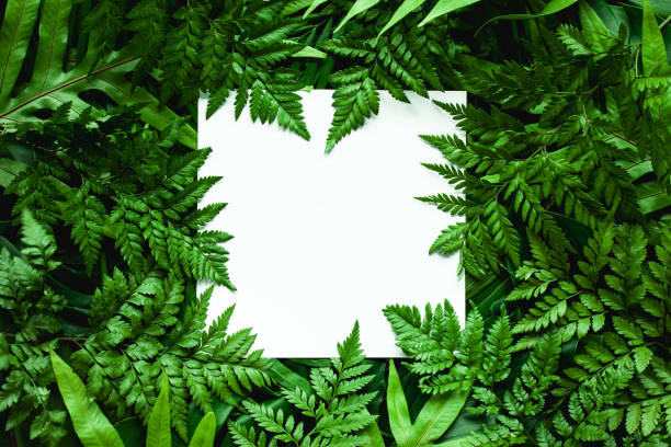 istock tropical green leaves and palms  background with white paper card note 1218573215