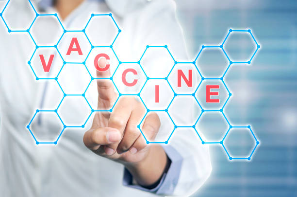 Pointing on word vaccine stock photo
