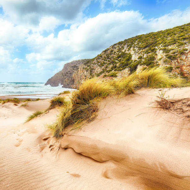 istock Charming view of beach Cala Domestica  with marvelous sand dunes. 1218575076