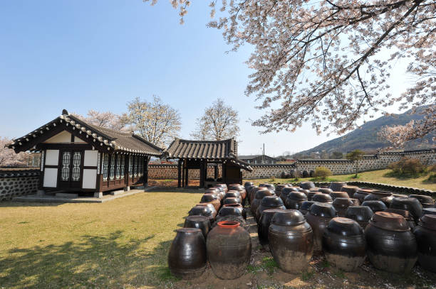istock The spring scenery of Daeheung Dongheon with cherry blossoms in full bloom. 1218576690