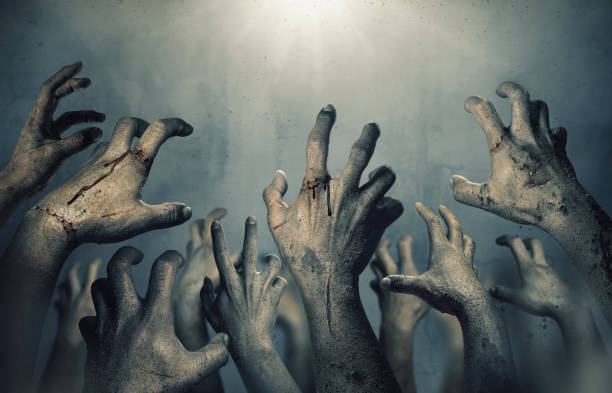 Zombie hands rising in dark Halloween night. Zombie hands rising in dark Halloween night. zombie stock pictures, royalty-free photos & images