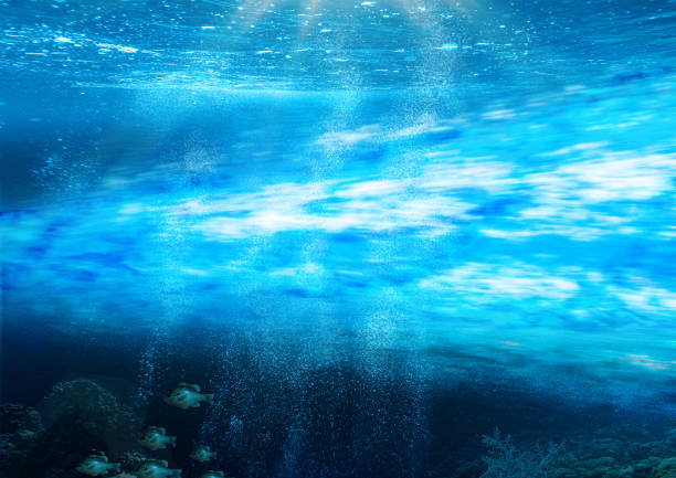 istock Gulf Stream Underwater in the Atlantic 1218577104