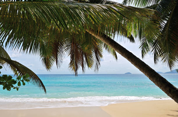 istock Tropical beach. Seychelles islands. Mahe, Anse Soleil 1218577882