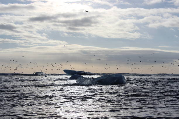 istock A little iceberg on the Icelandic Sea. 1218578306