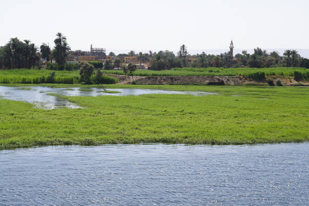istock Nile and views of the River 1218578610
