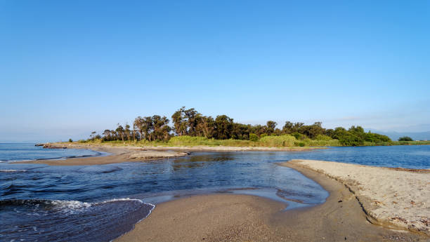 istock Mouth of the Tavignano river 1218578743