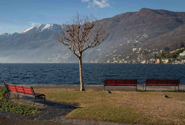 istock Benches on the promenade of Ascona 1218580201