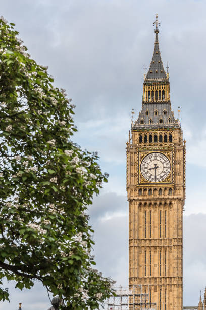 istock Classic view of Big Ben in London 1218583829