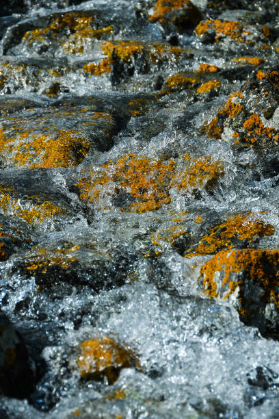 istock Mountain stream with yellow stones. Rapid flow of river, boiling water 1218588021
