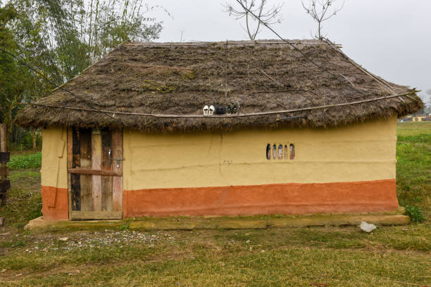istock Traditional rural house at Chitwan in Nepal 1218589448