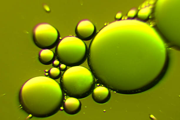 istock Green colored oil bubbles in a liquid as abstract background 1218589899