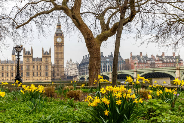 big ben e houses of parliament sulla lunga esposizione, londra - weather england london england thames river foto e immagini stock