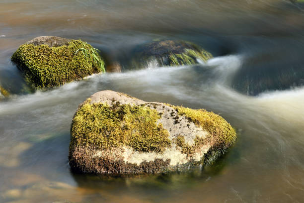 istock Fast mountain river flows in forest among rocks and mossy stones 1218592206