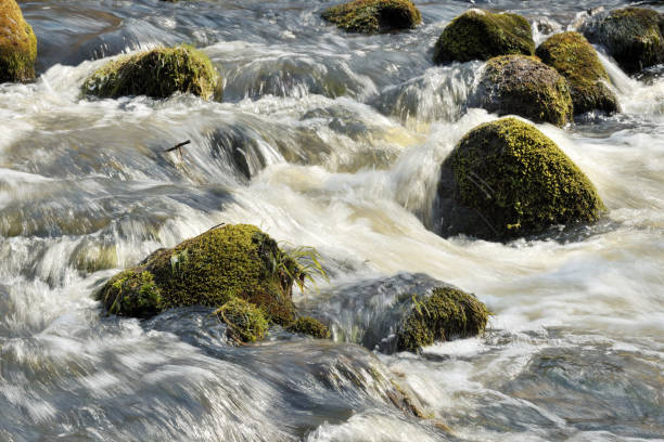 istock Fast mountain river flows in forest among rocks and mossy stones 1218592218