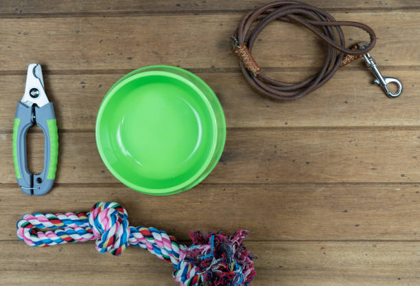istock Pet leashes with accessories on wooden background 1218592660