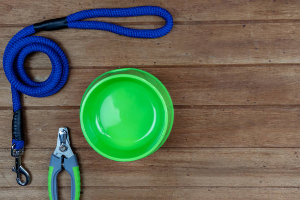 istock Pet leashes with accessories on wooden background 1218592671