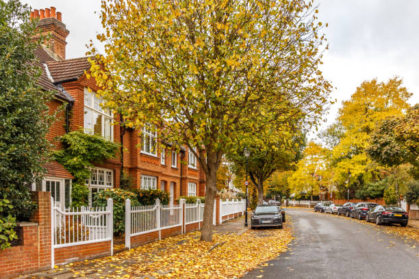 пригородная улица чисвик осенью, лондон, англия - chiswick стоковые фото и изображения