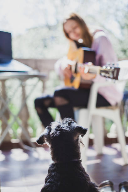istock Teleconferencing to play music - having fun on lockdown 1218595462